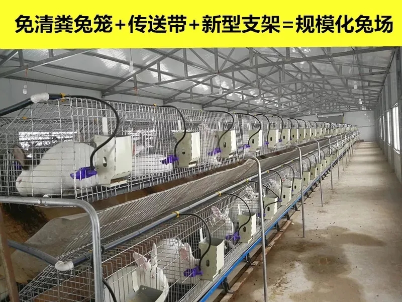 src=http___static.jisutui.vip_data_upload_2019_05_ba39d8ddaco5g2gs.jpg&refer=http___static.jisutui.webp.jpg