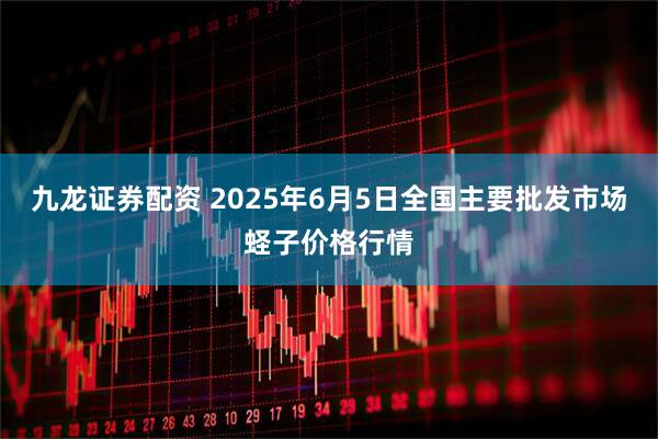 九龙证券配资 2025年6月5日全国主要批发市场蛏子价格行情