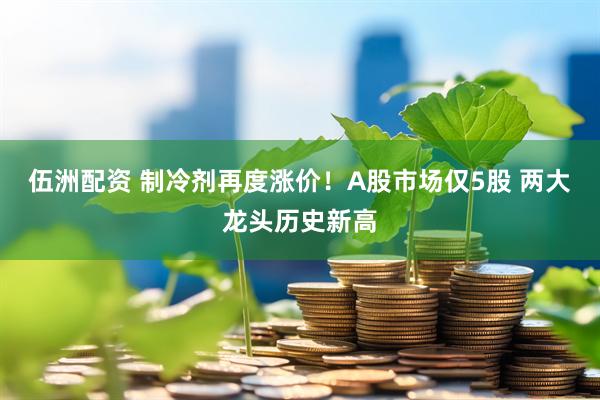 伍洲配资 制冷剂再度涨价！A股市场仅5股 两大龙头历史新高