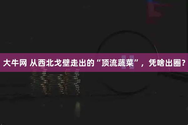 大牛网 从西北戈壁走出的“顶流蔬菜”，凭啥出圈？