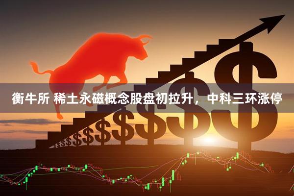 衡牛所 稀土永磁概念股盘初拉升，中科三环涨停