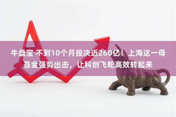 牛盘宝 不到10个月投决近260亿！上海这一母基金强势出击，让科创飞轮高效转起来