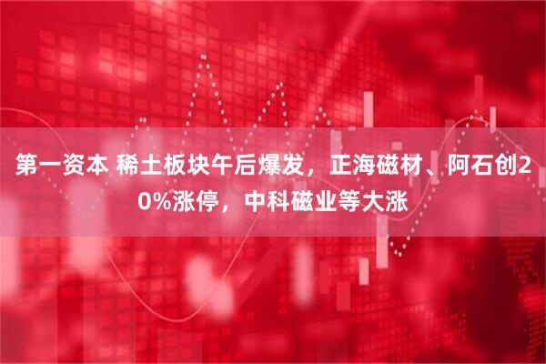 第一资本 稀土板块午后爆发，正海磁材、阿石创20%涨停，中科磁业等大涨