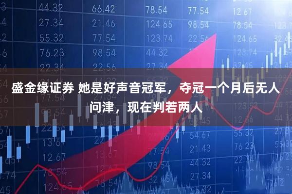 盛金缘证券 她是好声音冠军，夺冠一个月后无人问津，现在判若两人